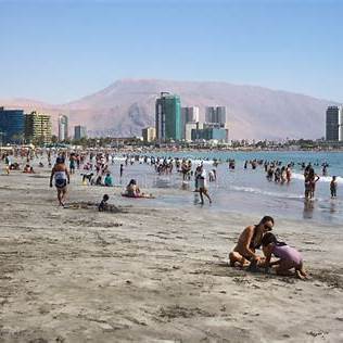 Parque costero cerca de Playa Cavancha en Iquique con palmeras y senderos verdes frente al mar, aspecto ideal de turismo urbano y naturaleza.